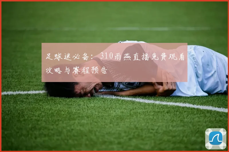 足球迷必备：310雨燕直播免费观看攻略与赛程预告